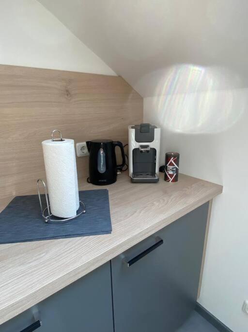 Ferienwohnung Louis 帕绍 外观 照片